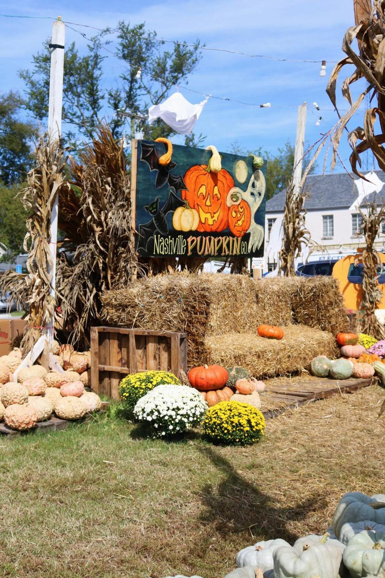 Spacious 4 King Belmont Home, 2 Living Rooms, Walk To Belmont & Vanderbilt, Large Dining Table, Smart Tvs, Parking, 24 Hr Hospitality, Near Music Row & Hillsboro Village Holiday home *