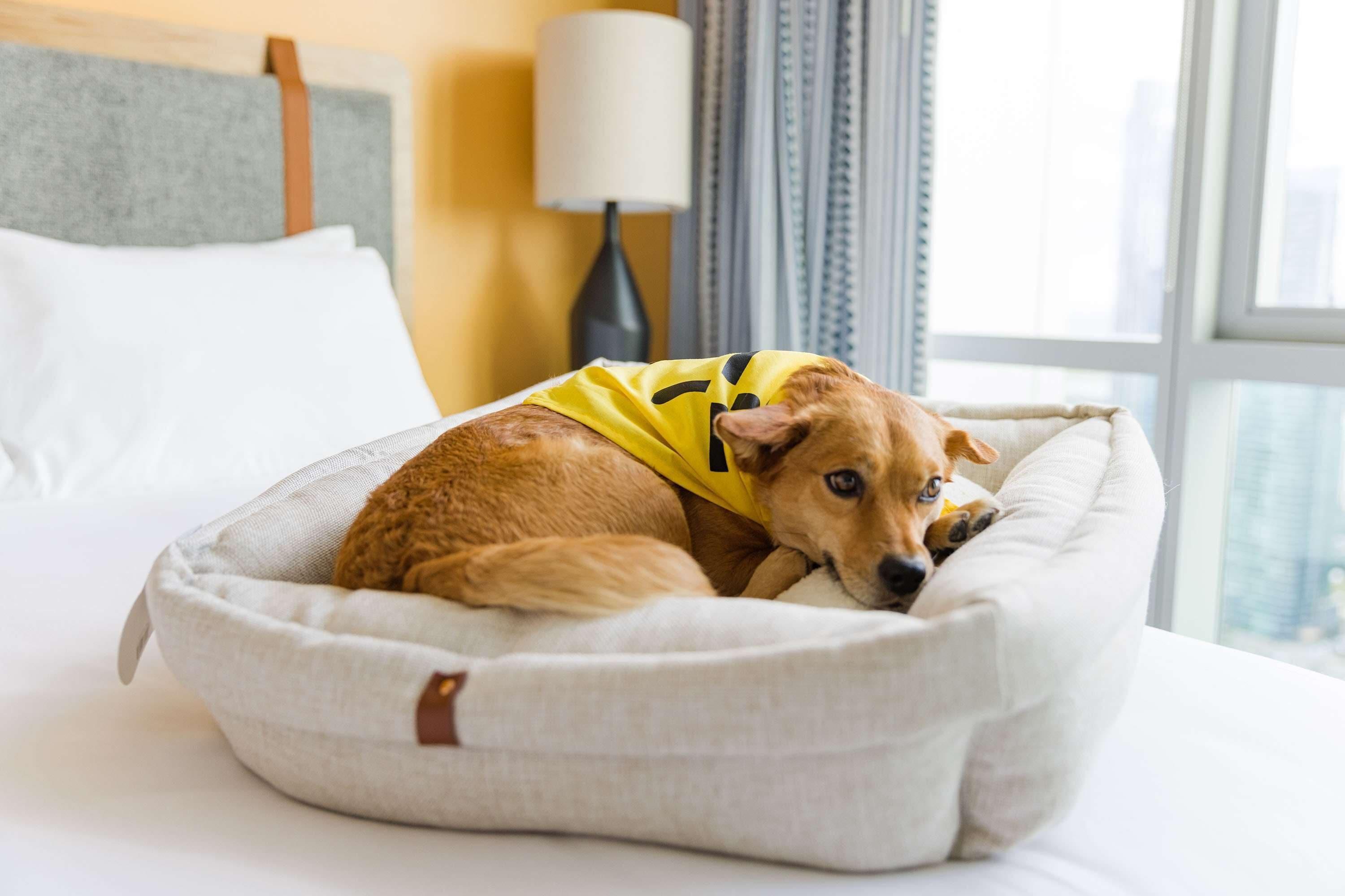 Sentral Sobro Hotel Nashville