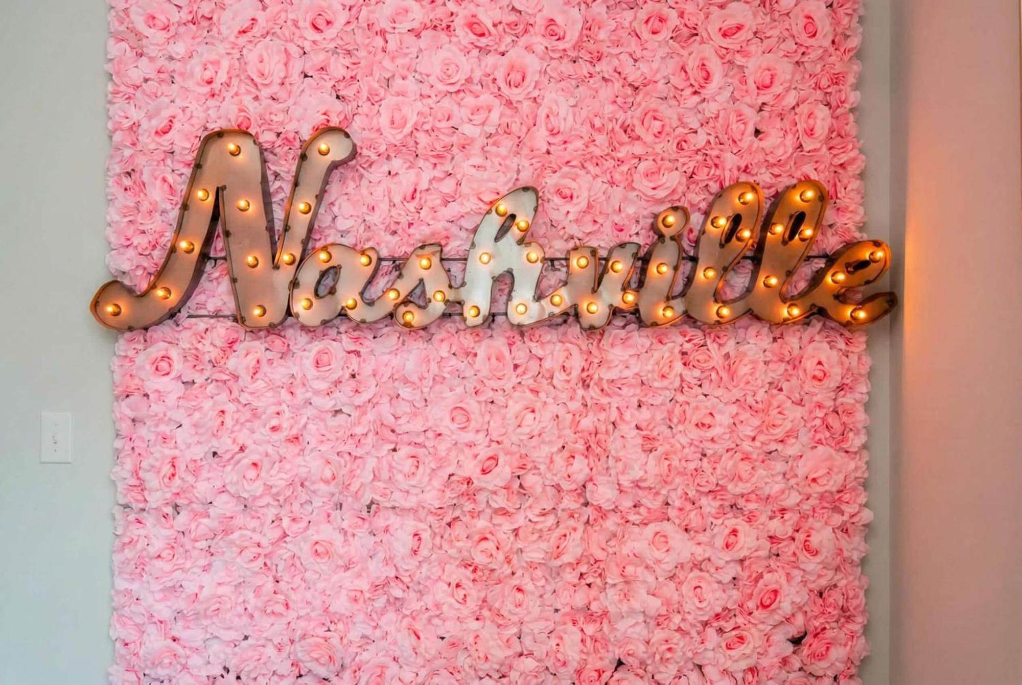 King & Queen 2 Homes - 24 Beds Views Holiday home Nashville