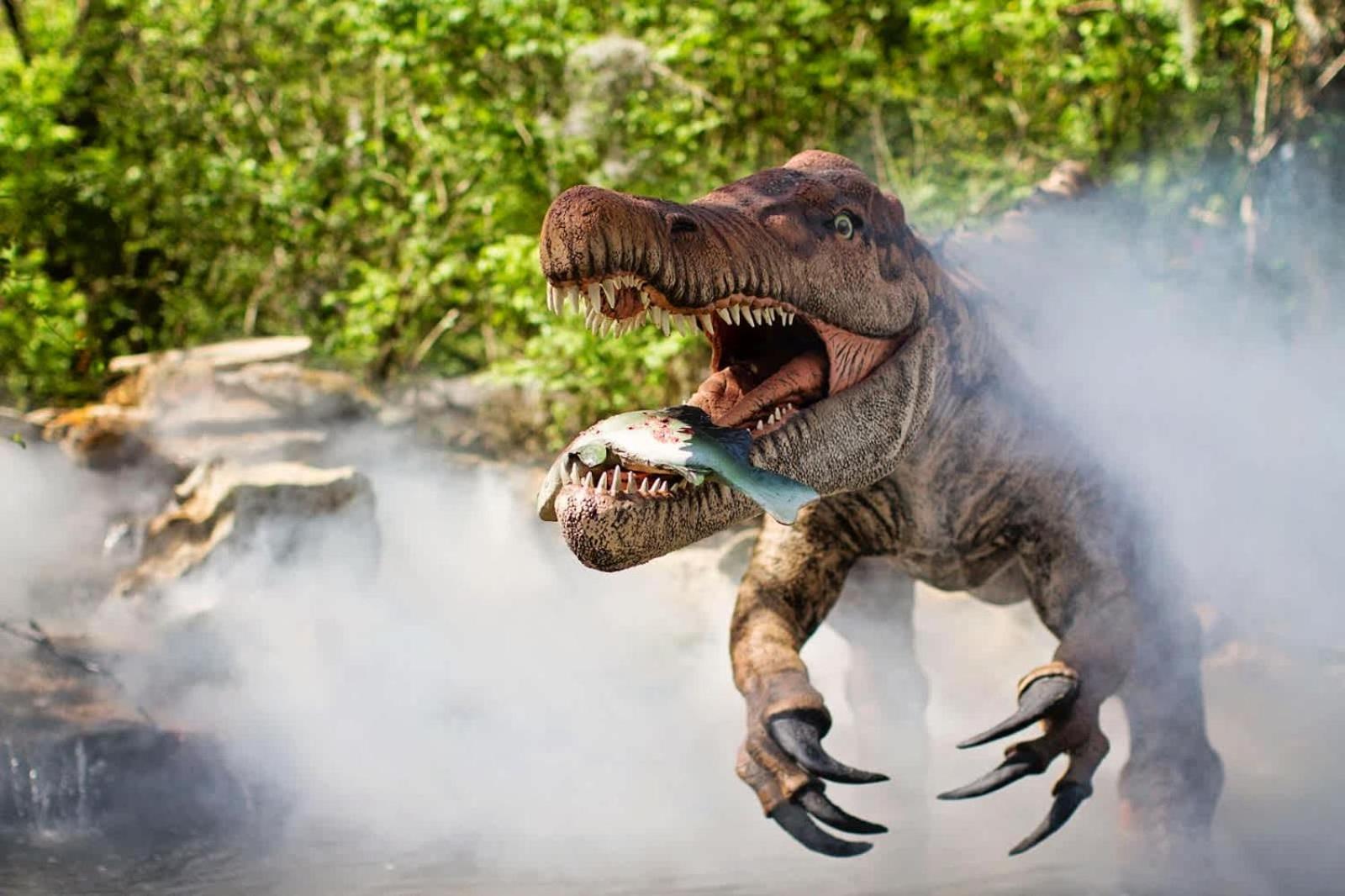 Holiday home Hillsboro Village Retreat Garage Rooftop Deck Sleeps 12 Sophisticated Open Living & Gourmet Kitchen Smart Tvs Pet-friendly W Private Garage Walk To Vanderbilt Minutes To 12 South & Broadway 24 7 Hospitality