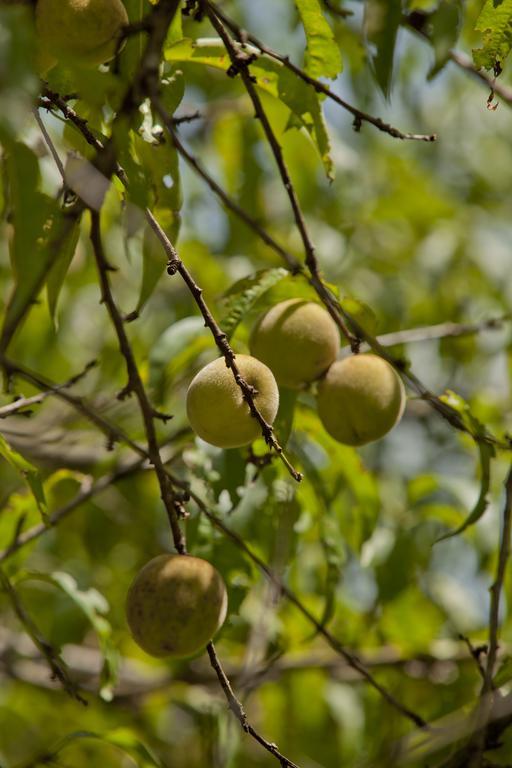 Brenda Lee History 2br Pool Hot Tub * Nashville