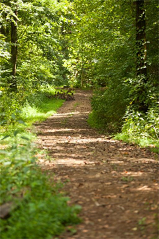 Brenda Lee History 2br Pool Hot Tub Apartment