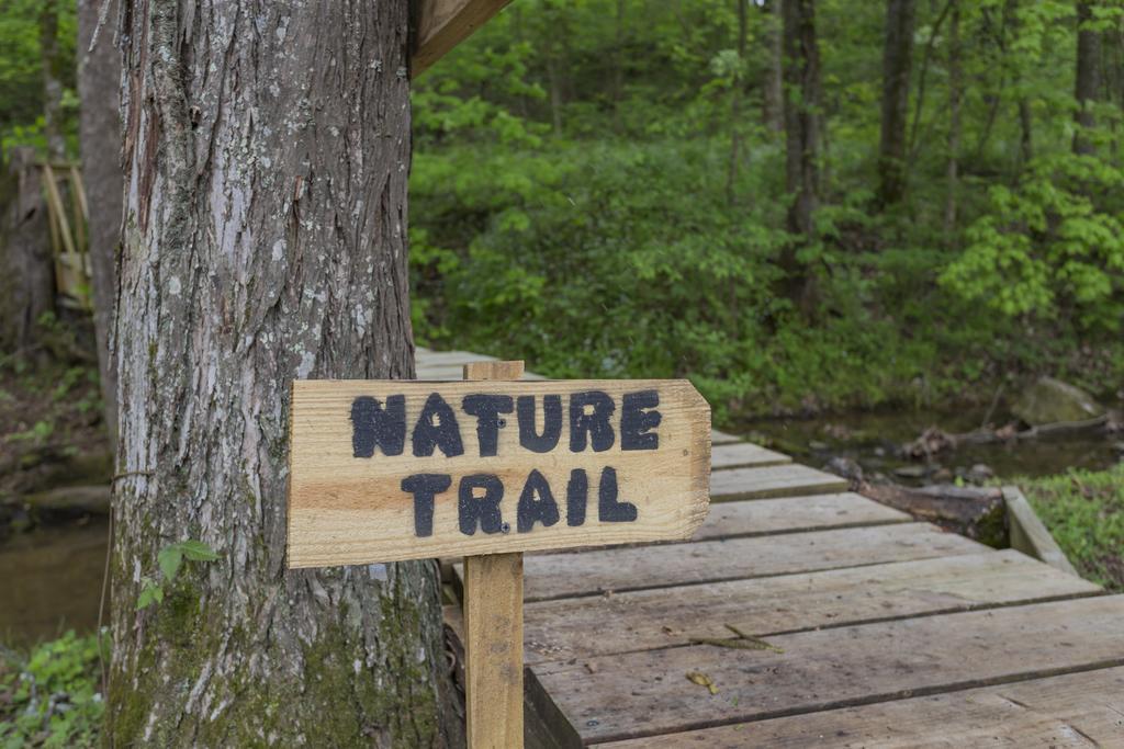 Brenda Lee History 2br Pool Hot Tub Apartment Nashville