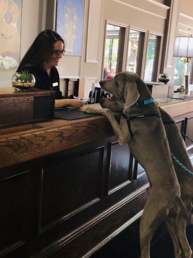 Hotel Millennium Maxwell House 3*