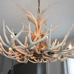 Downtown Luxury Condo At The Southern Belle