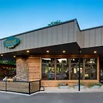 July Discount! Cottage Close To Downtown, Yard