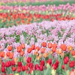 Modern 3Br With Garage, Rooftop, Hot Neighborhood 10 Mins To Broadway, 24 Hour Hospitality Team, Perfect For Groups