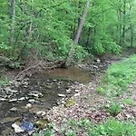 Brenda Lee History 4br Retreat Pool Hot Tub Nashville