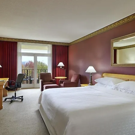Sheraton Music Airport 4*
