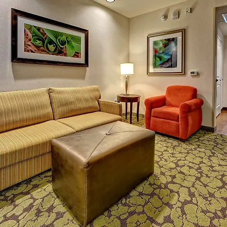 Hilton Garden Downtown Convention Center 3* Nashville