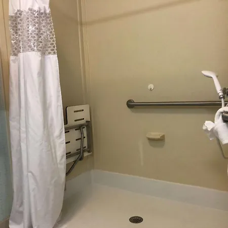Hampton & At Opryland 3* Nashville
