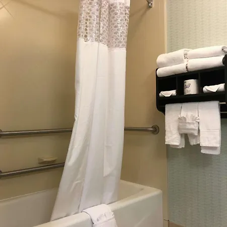 Hampton & At Opryland Hotel 3*
