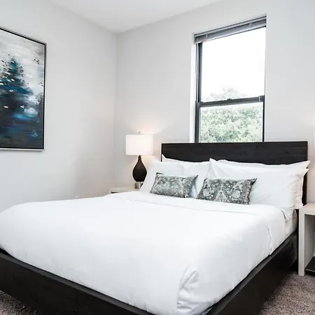 Apartment Cozysuites Music Row Classy 1br In Nashville! 39