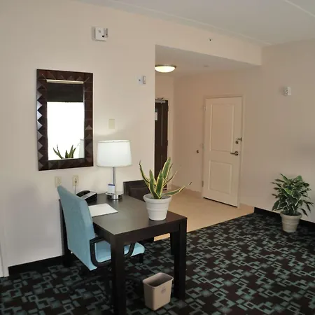 Hotel Hampton & At Opryland 3*