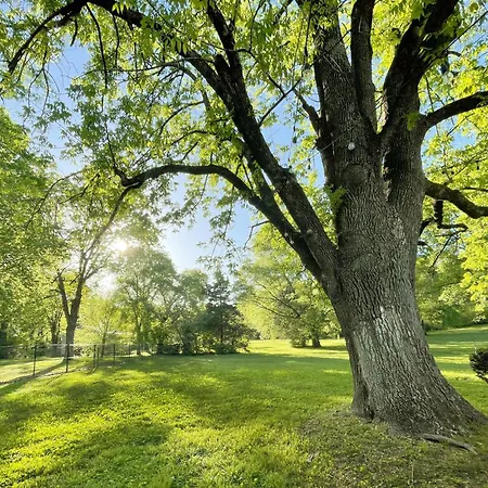Gather And 10 Min From Downtown