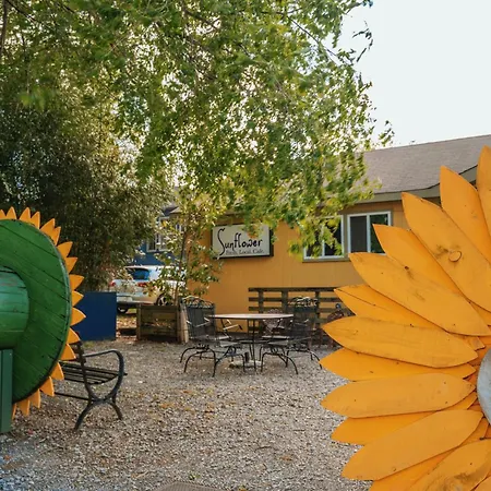 The Iris Hotel