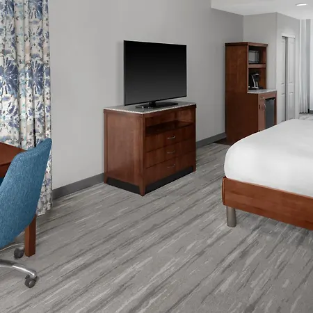 Hilton Garden Downtown Convention Center 3*