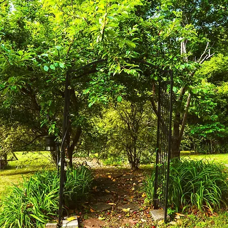 The Magnolia Mansion 6 Minutes To Broadway On 4 Acres Holiday home