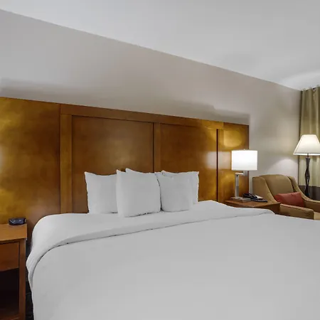 Comfort Downtown - Music Center Inn 4*