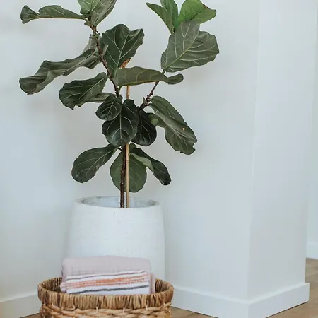 Storybook - Perfect For Couples And Solo Travelers Apartment *