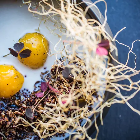 Kimpton Aertson By Ihg Nashville