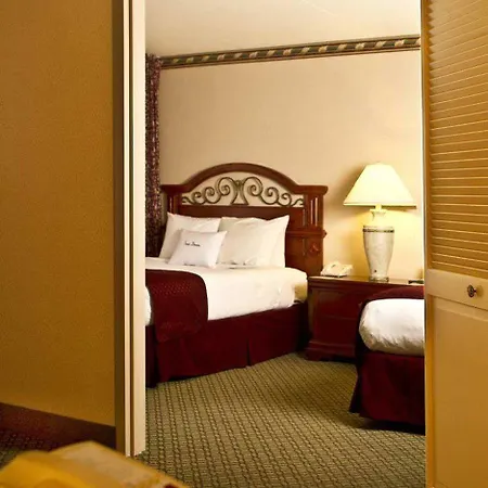 Doubletree By Hilton Airport 3*