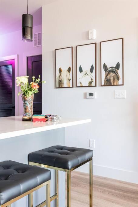 Apartment Downtown Midtown Vanderbilt, Honky Tonk Party Pad 2, Parking Gym Pool *