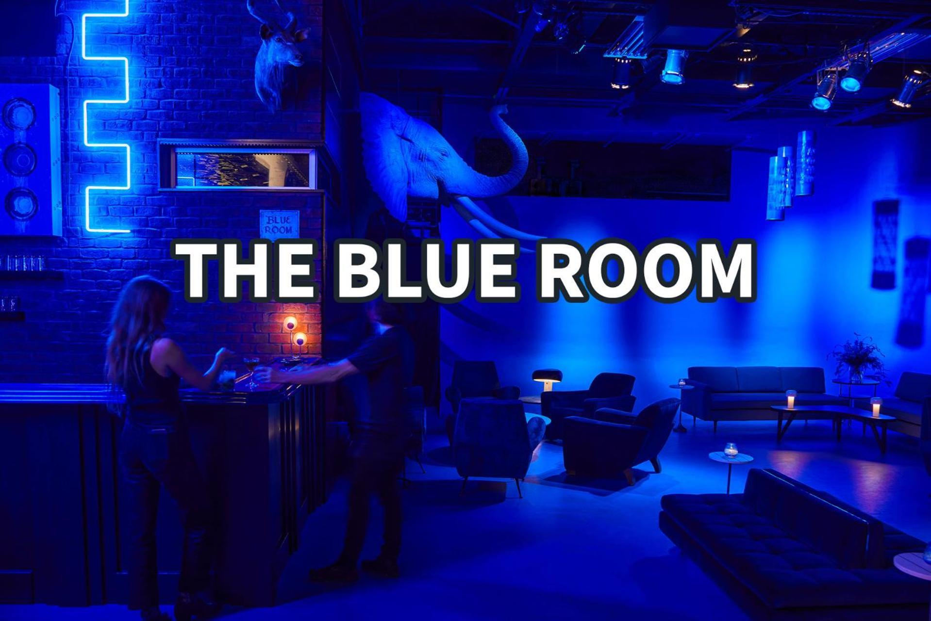 Blue Pearl - Private Backyard - Mins To Broadway