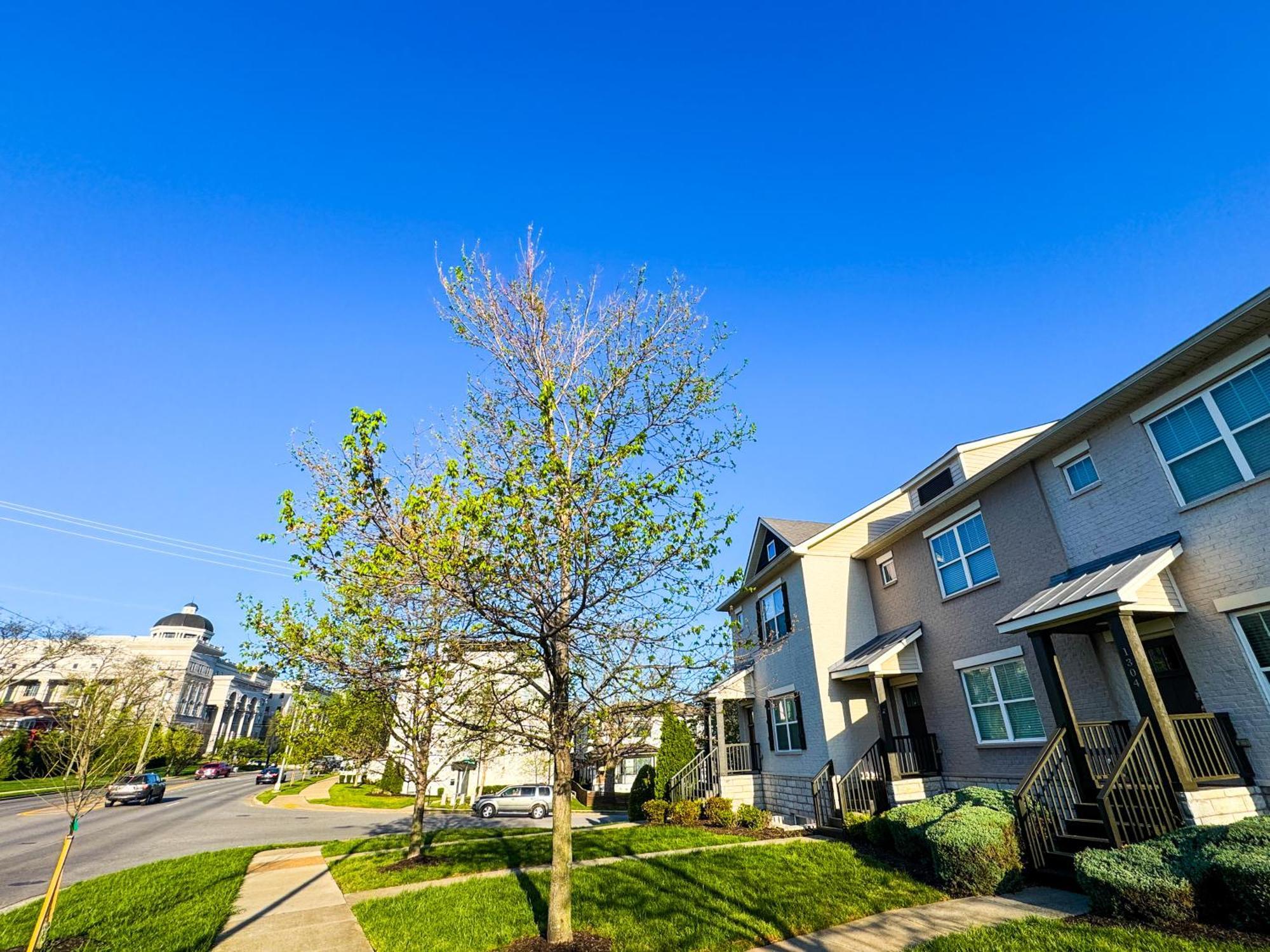 Belmont And Broadway Great For Groups Holiday home *