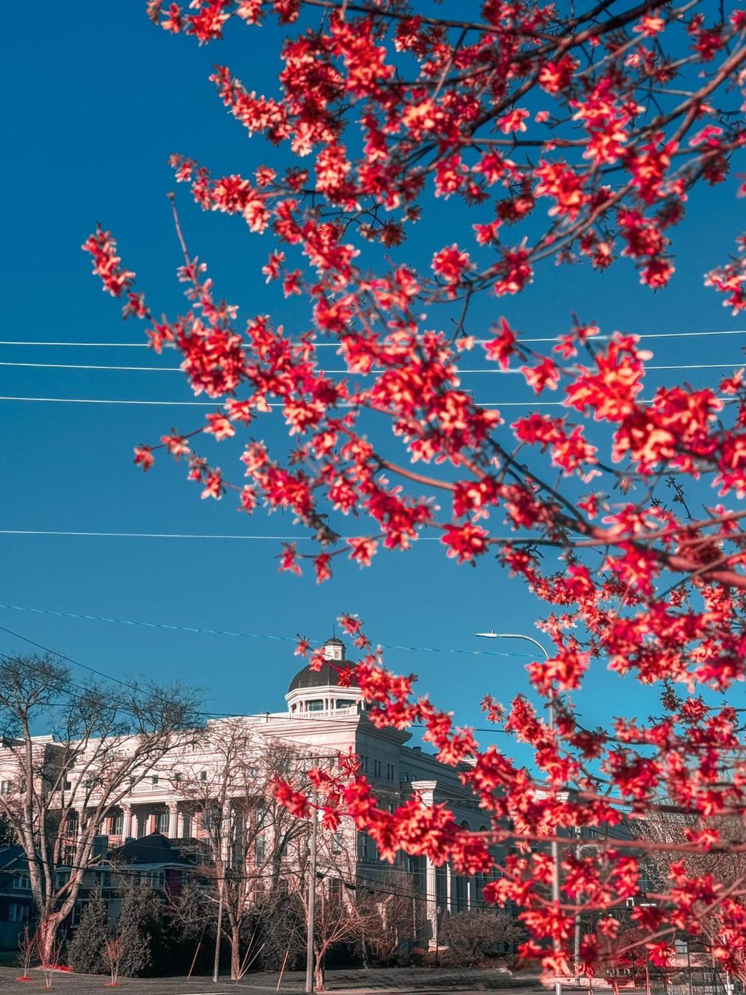 Holiday home Belmont And Broadway Great For Groups Nashville