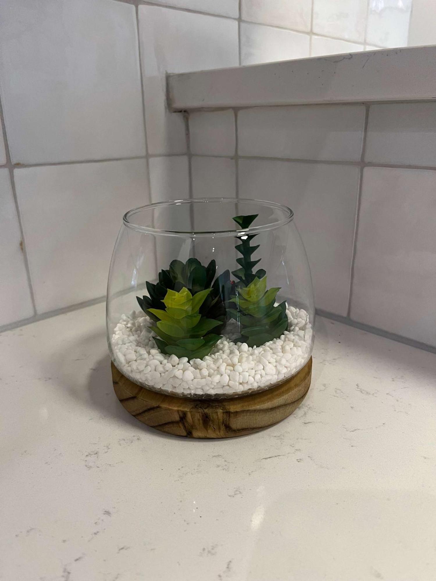 Legends Row By Maddox