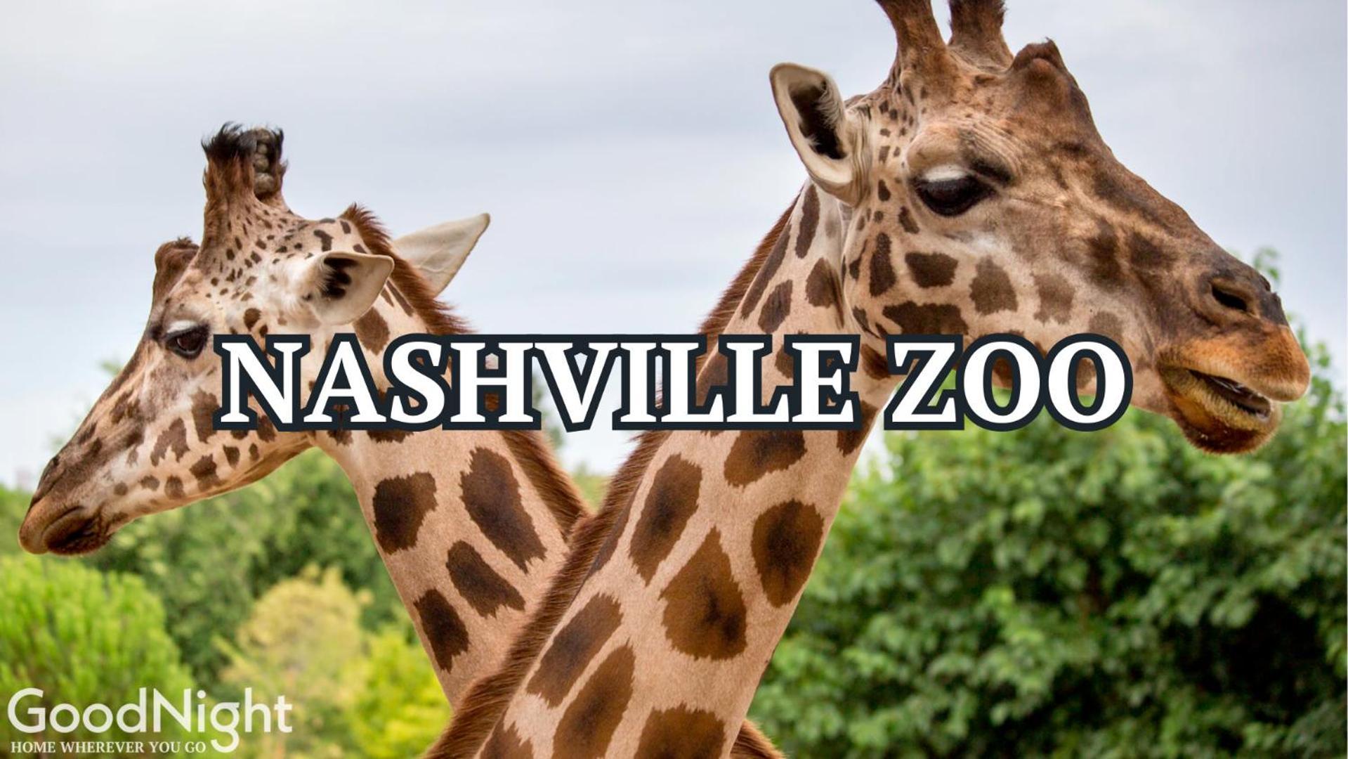 Lofts At 30th-urban Nest-4 Mins To Midtown Holiday home Nashville