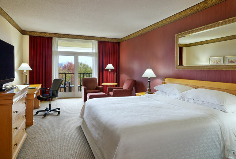 Sheraton Music Airport Hotel